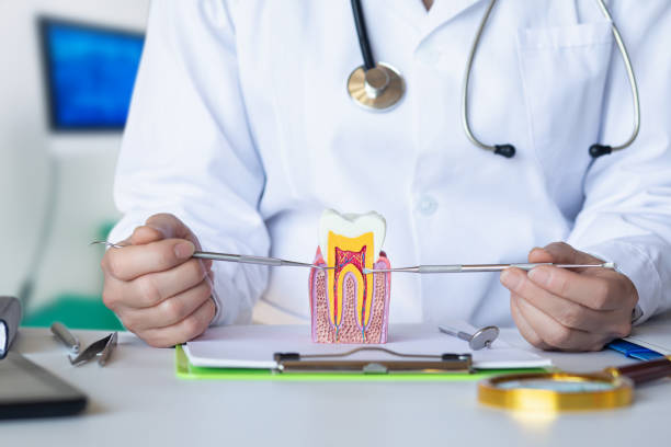 Best Emergency Dentist for Special Needs Patients in Roanoke Rapids, NC